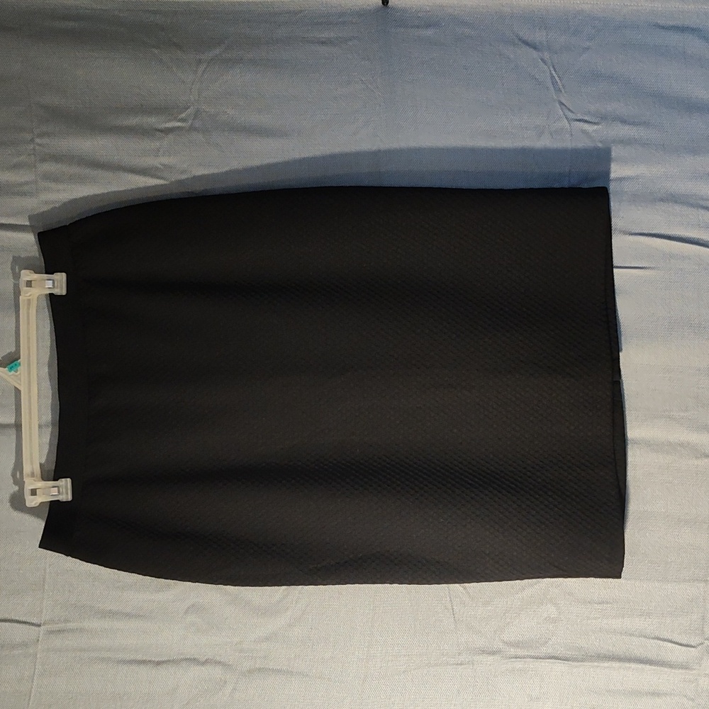 Alfani Skirt